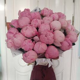 Букет 25 крупных розовых пионов